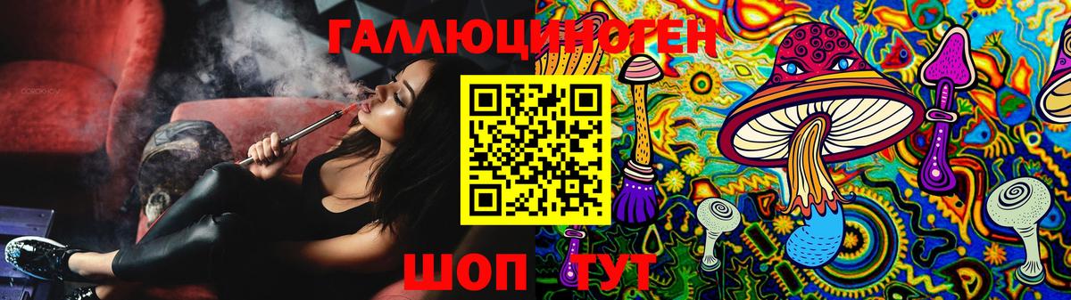 Псилоцибиновые грибы Psilocybe  Вход с VPN  Берёзовский 