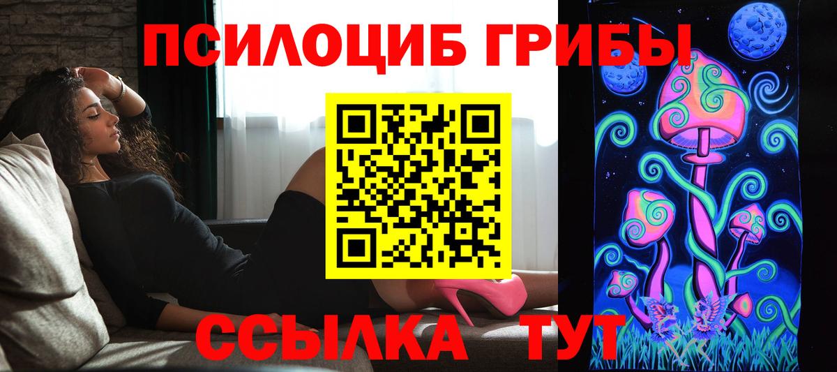 Псилоцибиновые грибы GOLDEN TEACHER Берёзовский